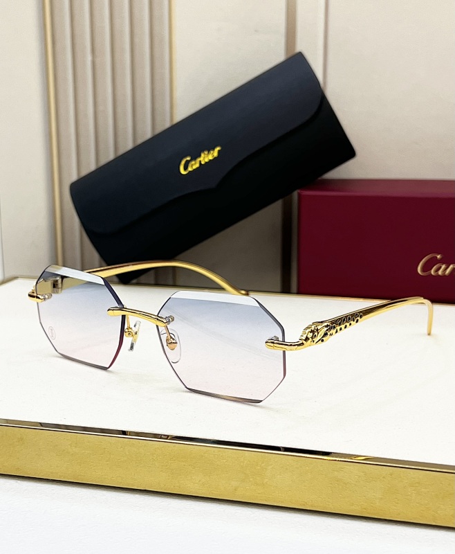 CartierMODEL:CT0524SSIZE:56, photo 1
