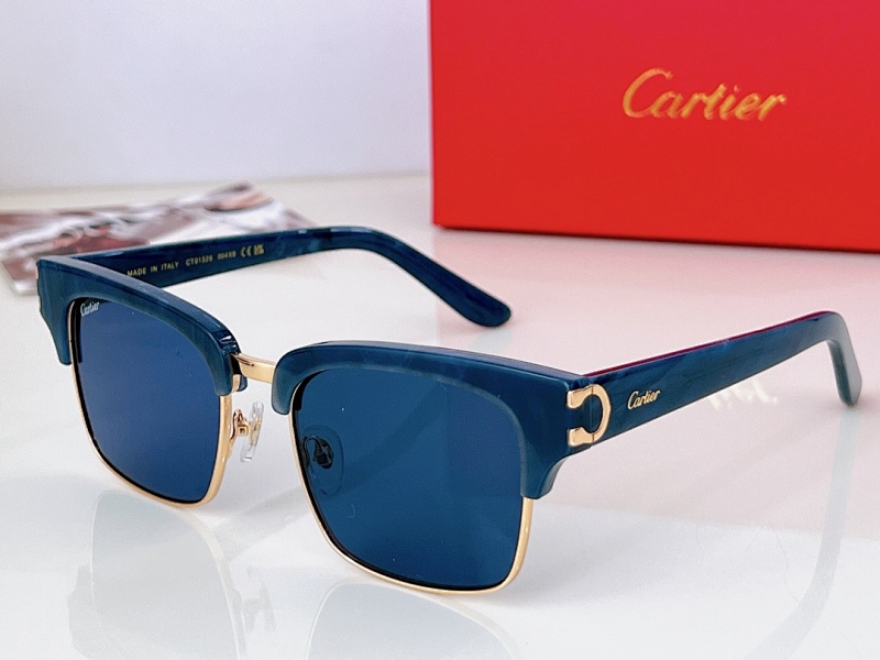 CartierCT0132SSize:54, photo 1