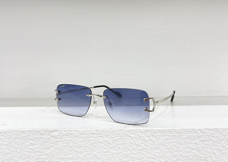 Other CartierMODEL:CT0330SSIZE:57 18-140_, photo 1