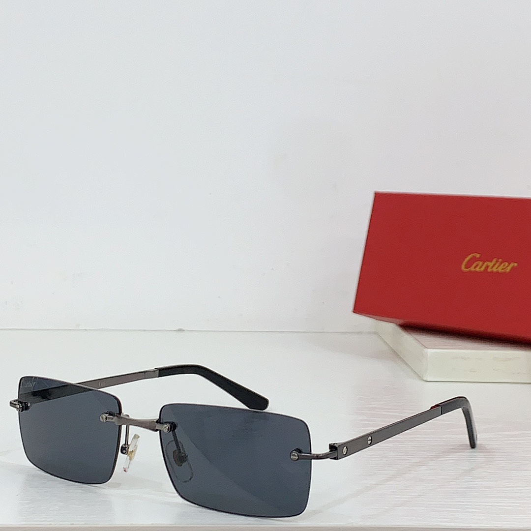 CartierMODEL:CT0568SSIZE:55 17-143_, photo 1