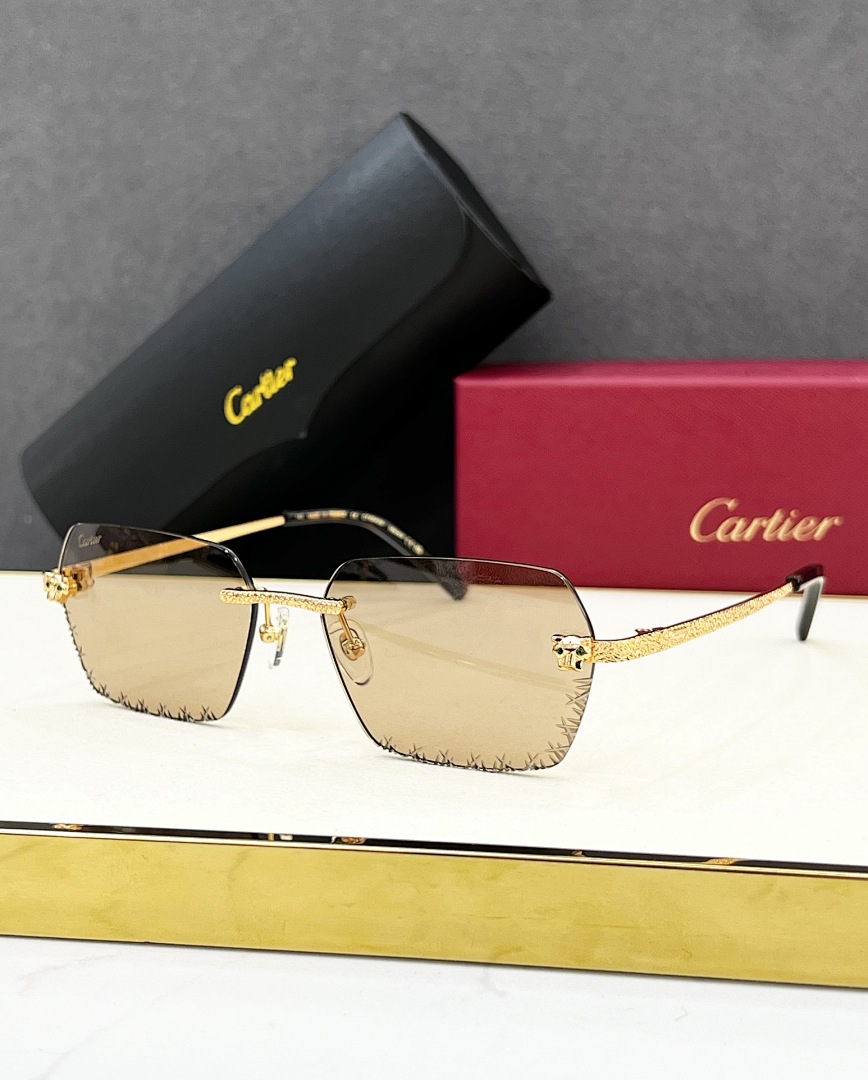 CartierMODEL:CT0542SSIZE 55, photo 1