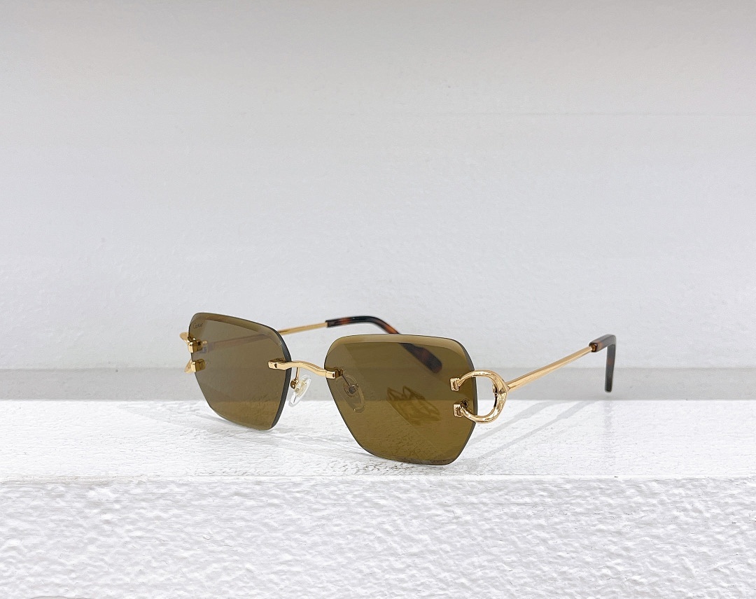 CartierMODEL:CT0597S SIZE 55, photo 1