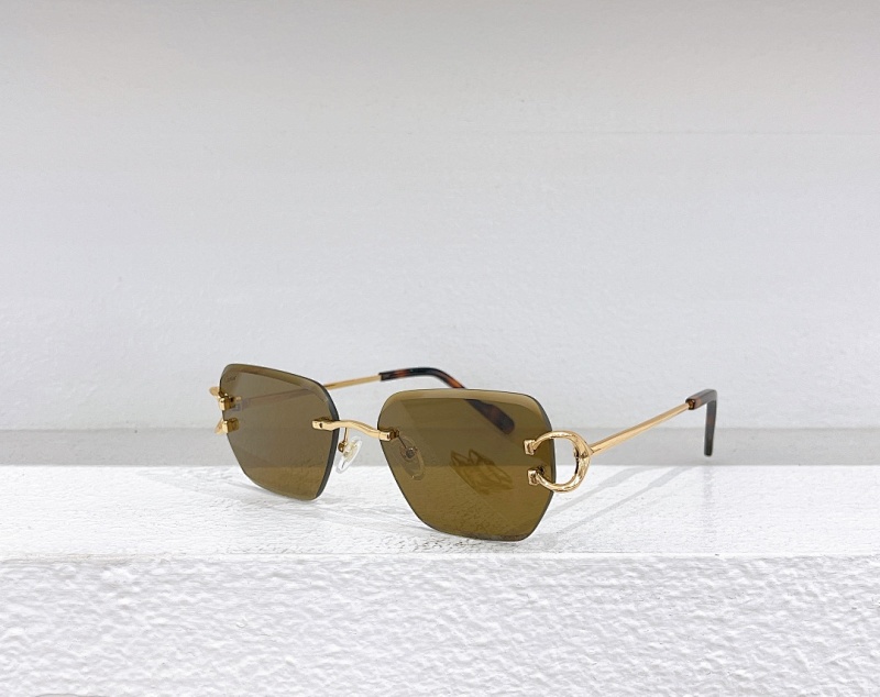 CartierMODEL:CT0597S SIZE 55, photo 1