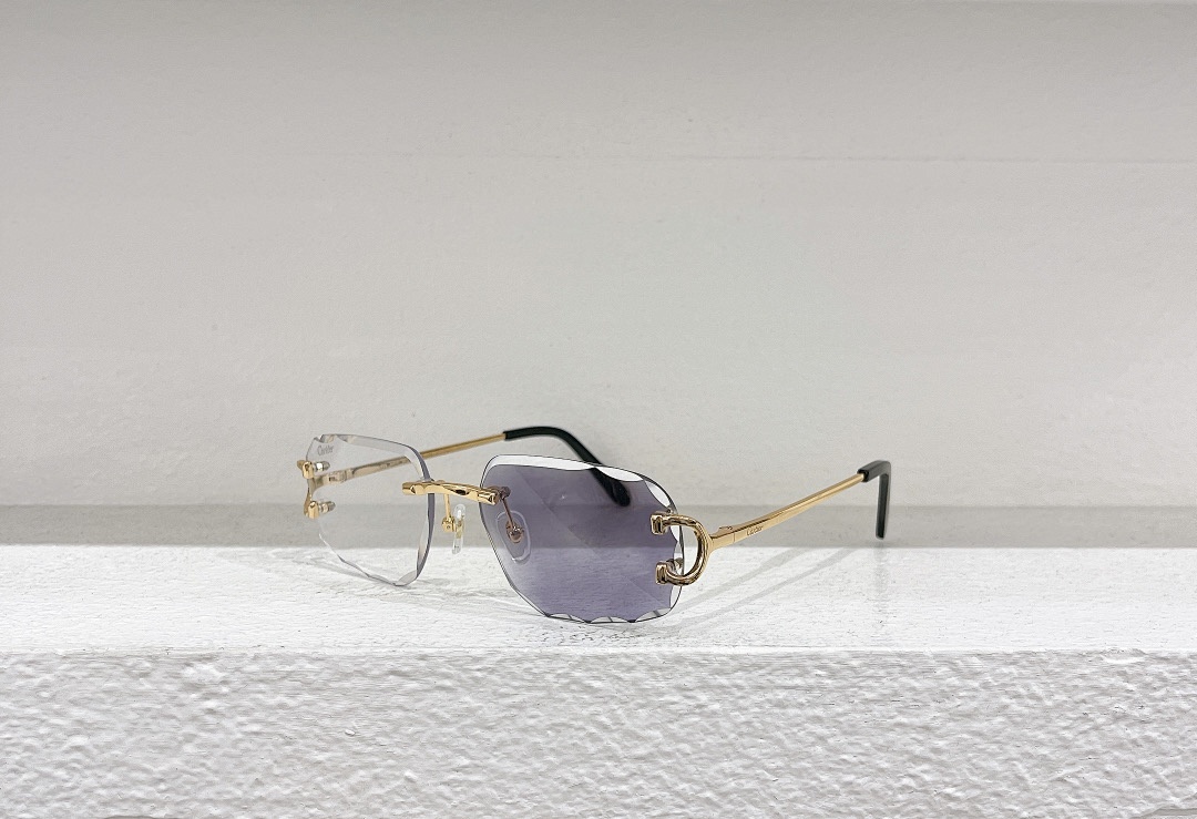 CartierMODEL:CT0092OSIZE 55, photo 1