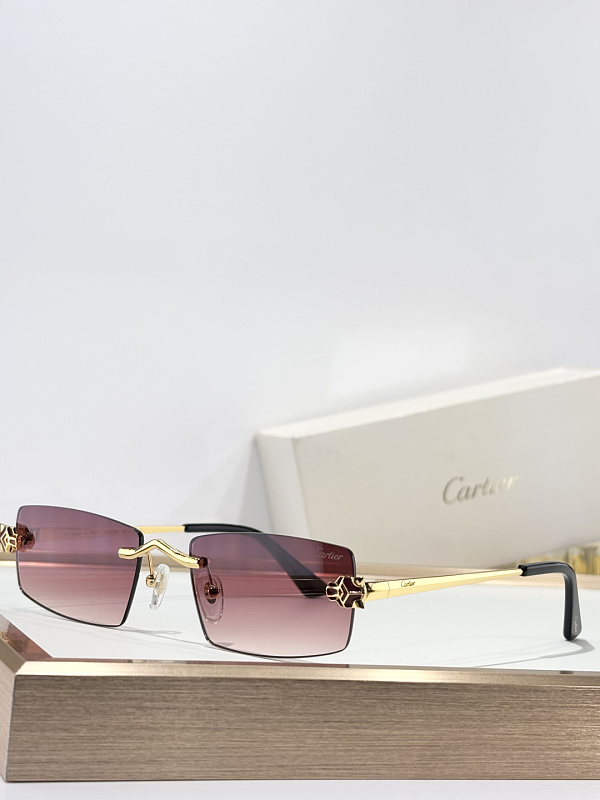 Other CartierMODEL:CT0598SSIZE55 20-145_, photo 1