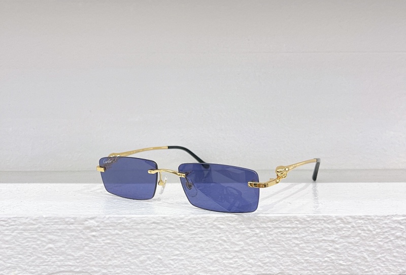 CartierMODEL:CT0430SSIZE:58, photo 1
