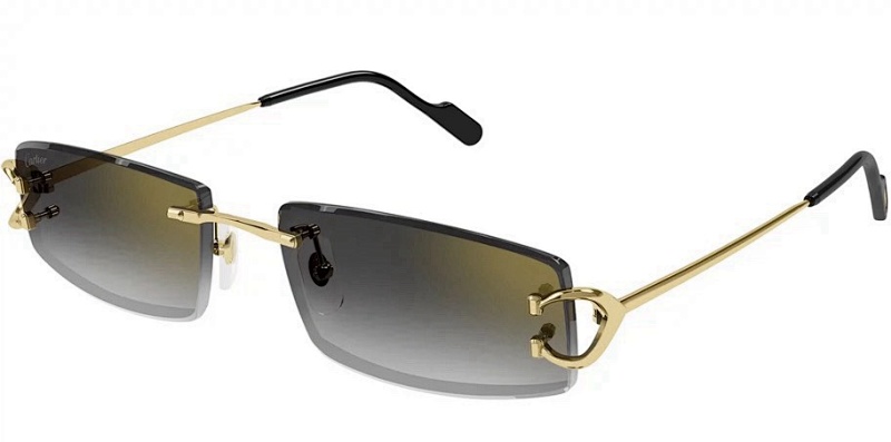 CartierMODEL:CT0465SSIZE 56, photo 1