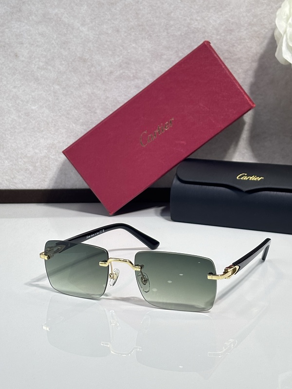 CartierMODEL:CT0579SSIze:57, photo 1
