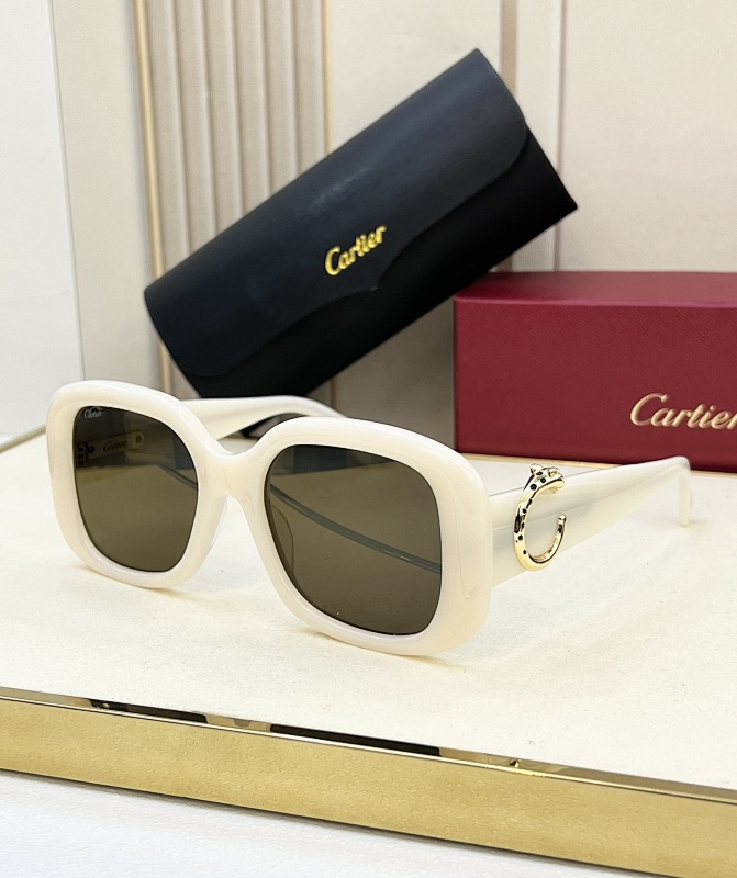 CartierMODEL:CT0471SSIZE 53, photo 1