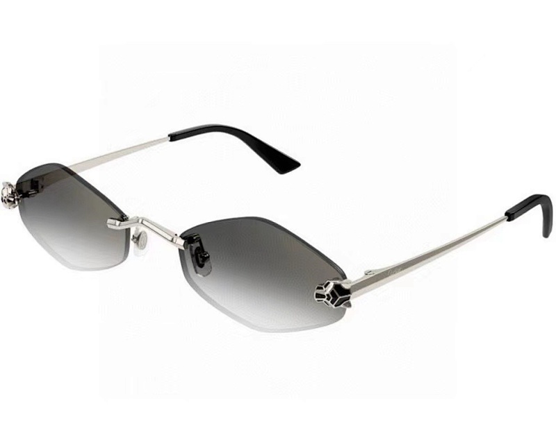 Other CartierMODEL:CT0433SSIZE:55, photo 1