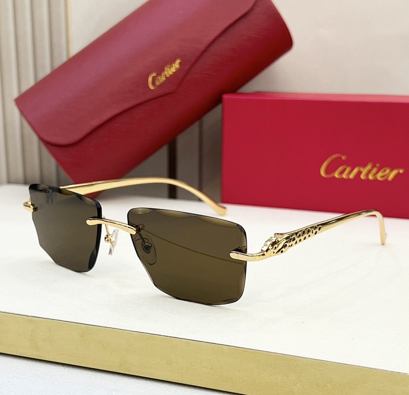 Other CartierMODEL:CT0523S SIZE:52, photo 1