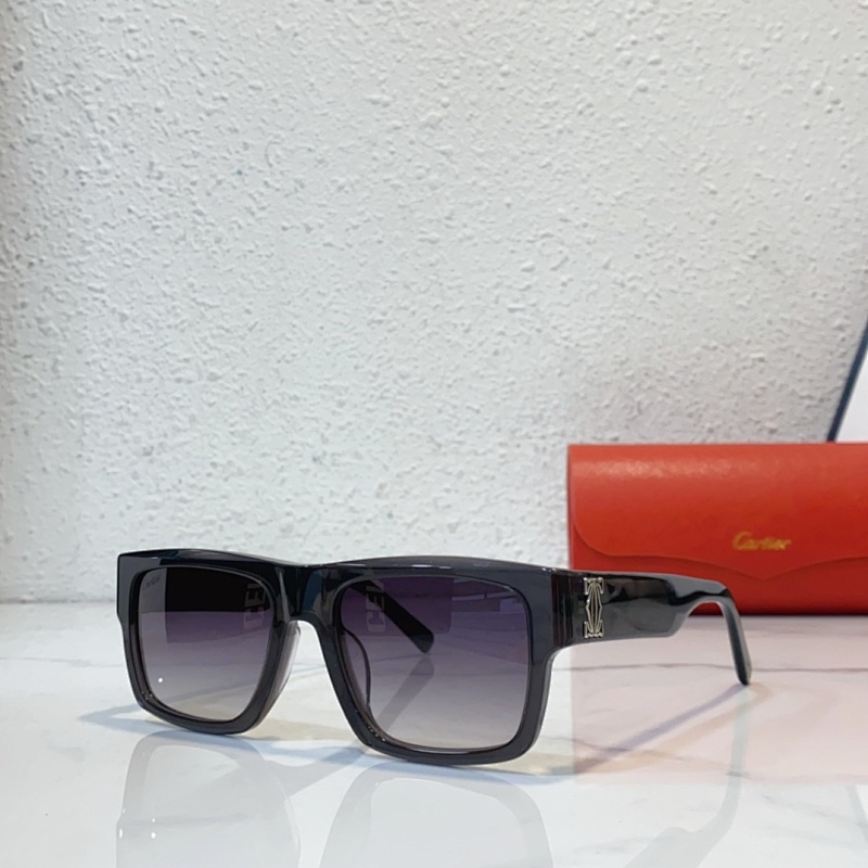 Other Cartier MODCT0483SSize53 20-140_, photo 1