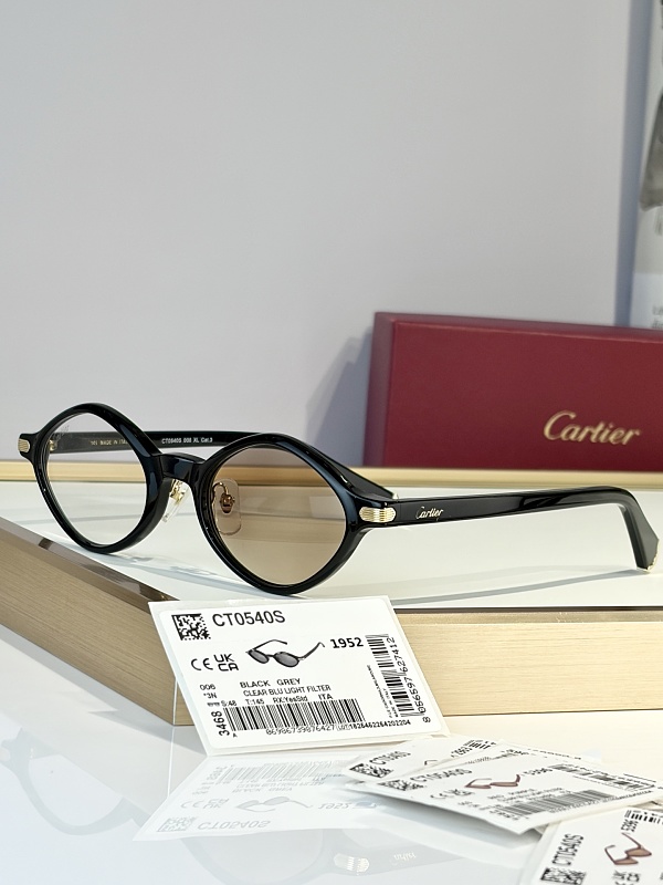CartierMODEL:CT0540SSIZE 48, photo 1