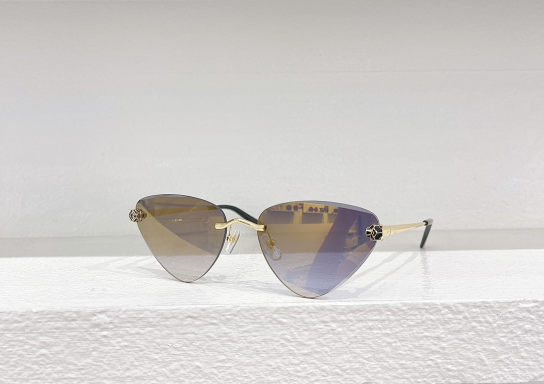 Cartier MODEL:CT0399S SIZE:62, photo 1