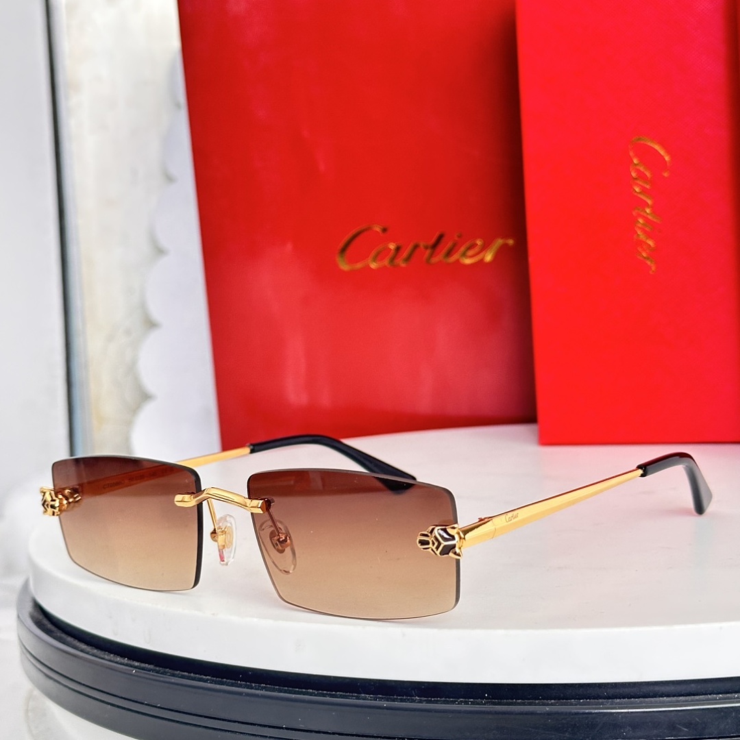 Other CartierMOD:CT0598OSize:55, photo 1