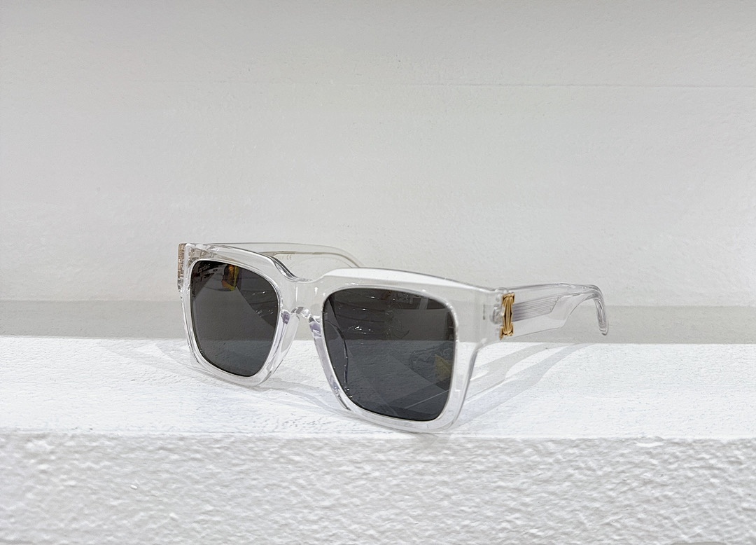 CartierMODEL:CT0487SSIZE 52 22-140_, photo 1