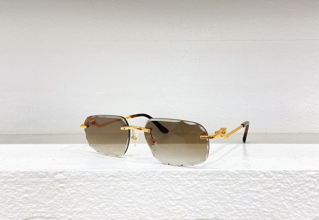 Other CartierMODEL:CT0120OSIZE 57, photo 1