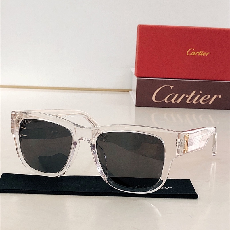 Other CartierMODEL:CT0489SSIZE 52 20-140_, photo 1