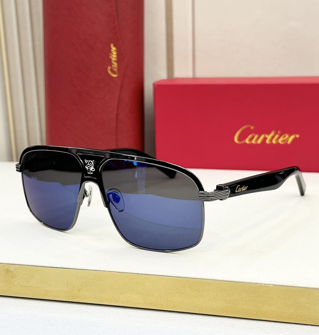 CartierMODEL CT0435SSIZE:60, photo 1