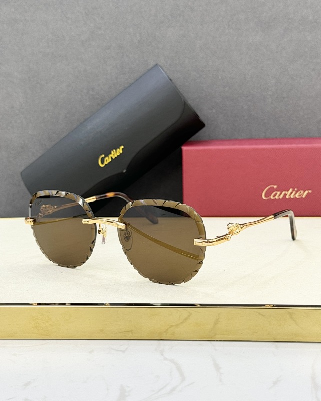 Other CartierMODEL:CT0281OSIZE:55, photo 1