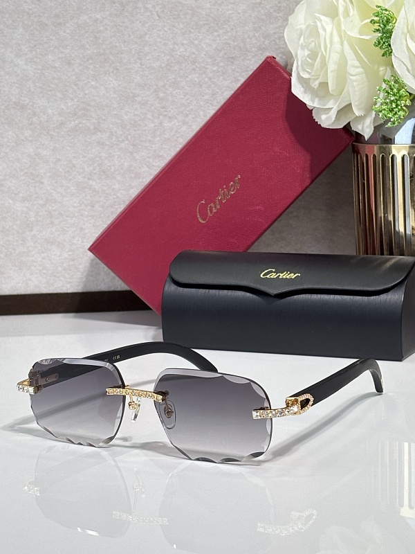 CARTIERMod:CT0703SSize:60, photo 1