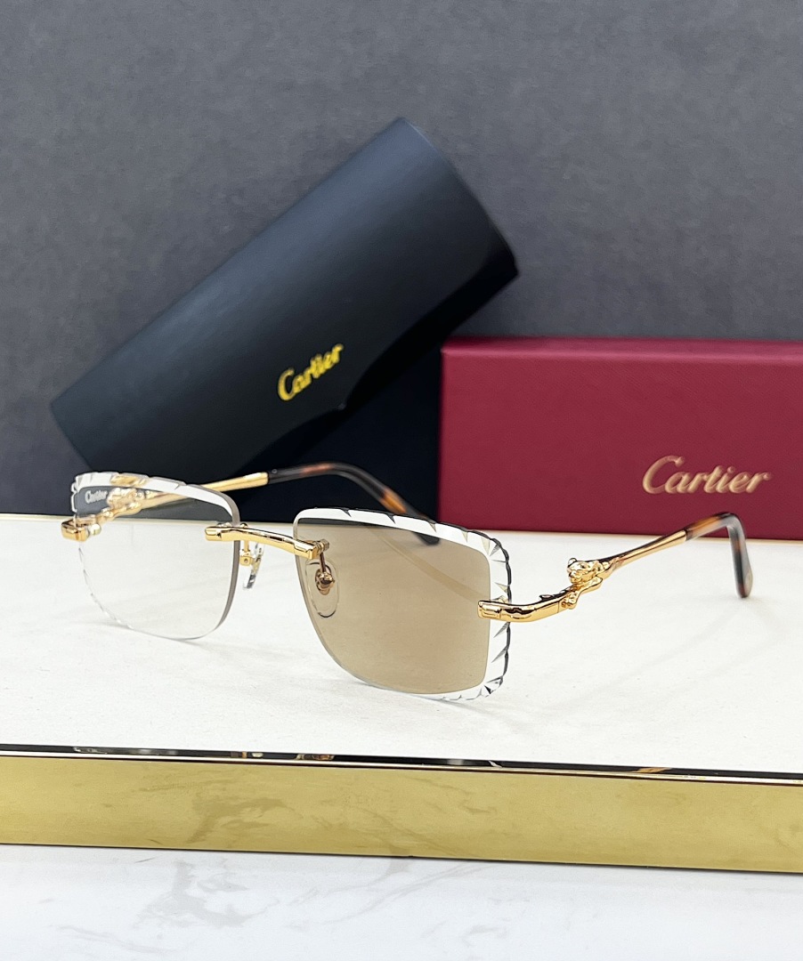 CartierMODEL:CT0281O Size:55, photo 1