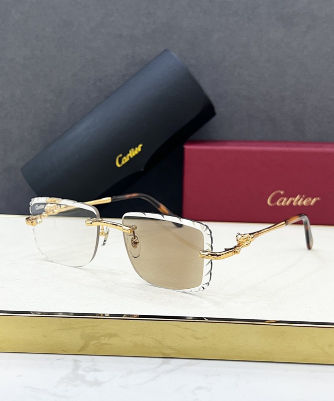 CartierMODEL:CT0281O Size:55, photo 1