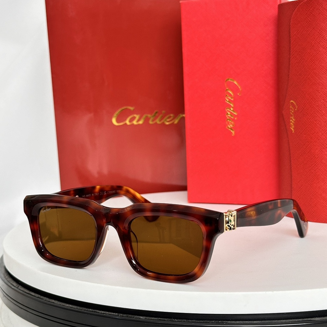 Other CartierMODEL:CT0508SSIZE:52 23-145_255, photo 1