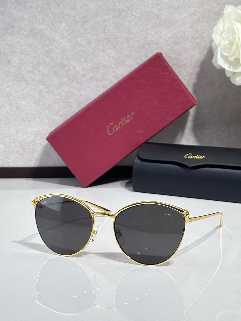 CartierMODEL:CT0597SASIZE 55, photo 1