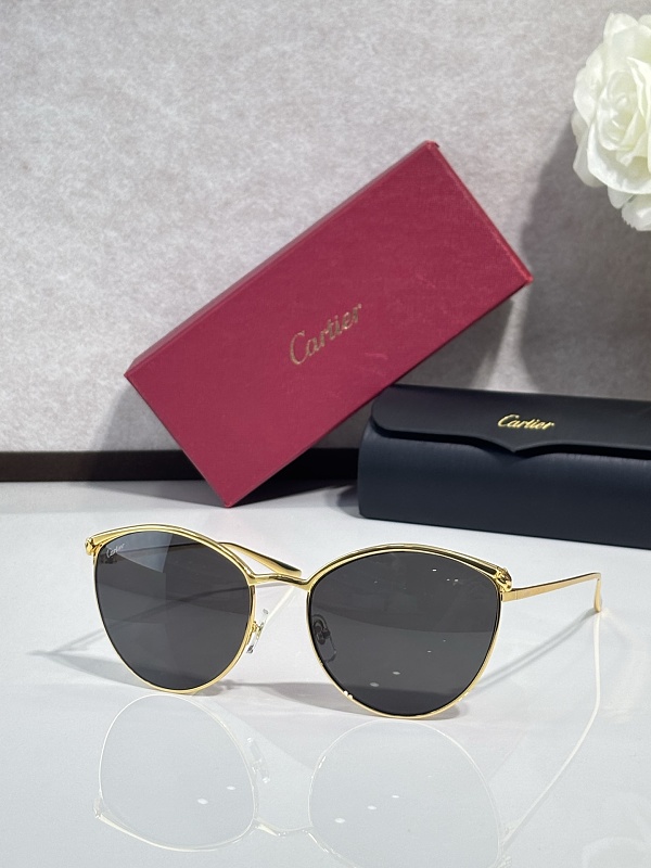 CartierMODEL:CT0597SASIZE 55, photo 1