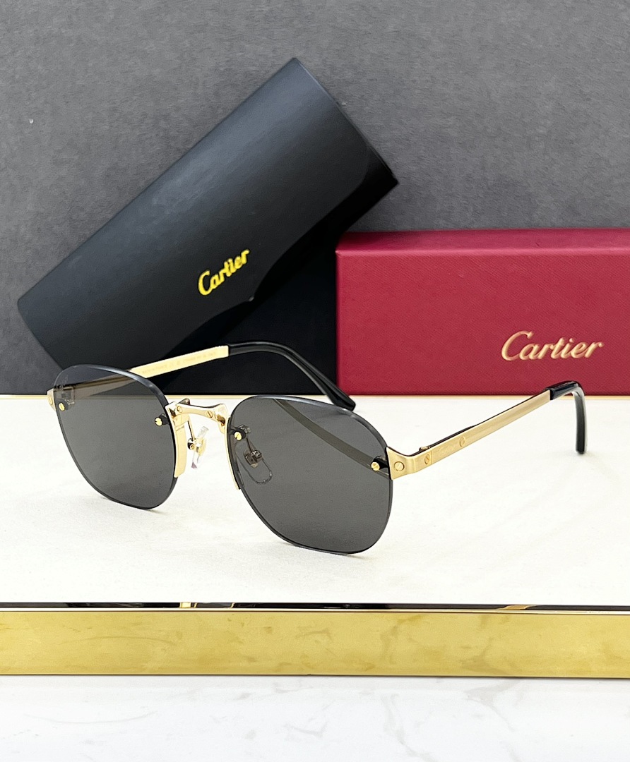 CartierMODEL:CT0459SSIZE:54, photo 1