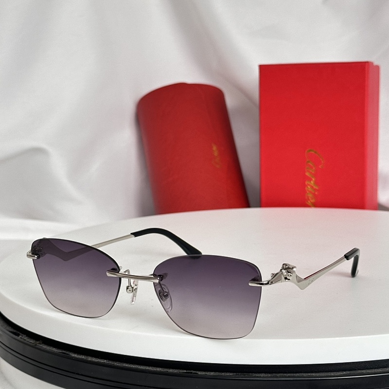 CartierMODEL:CT01200SIZE 55, photo 1