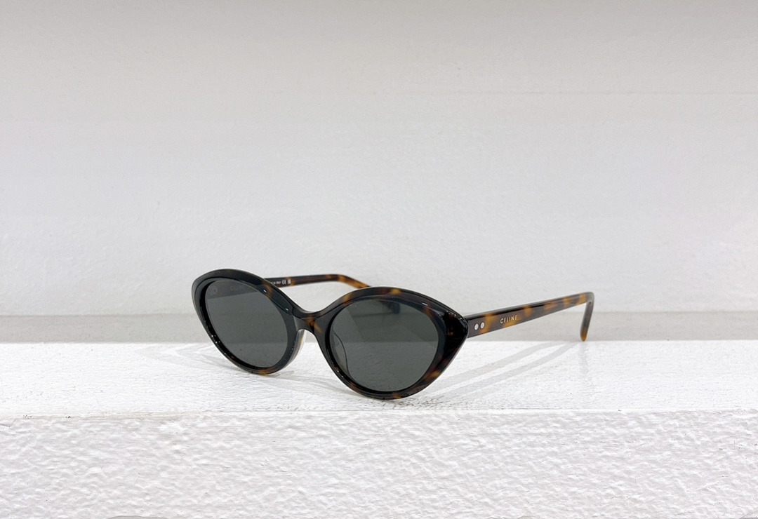Other CELINEMODELCL40264USIZE51
