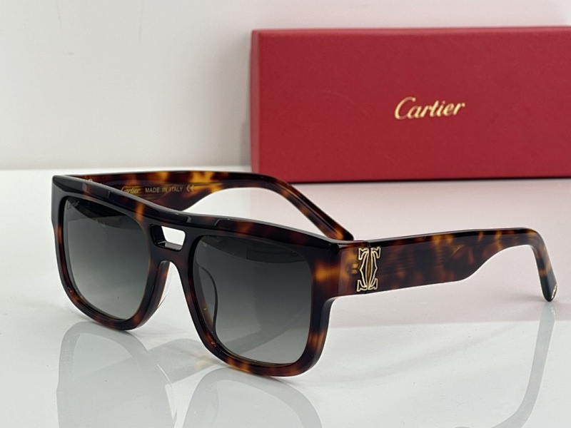 CartierMODEL CT0490SSIZE 53, photo 1