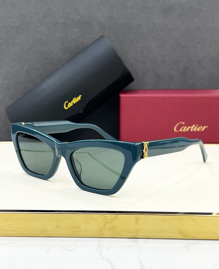 CartierMODEL:CT0437SSIZE 53, photo 1