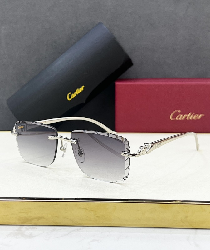 Other CartierMODEL:CT0058OSIZE:55 18-130_663, photo 1