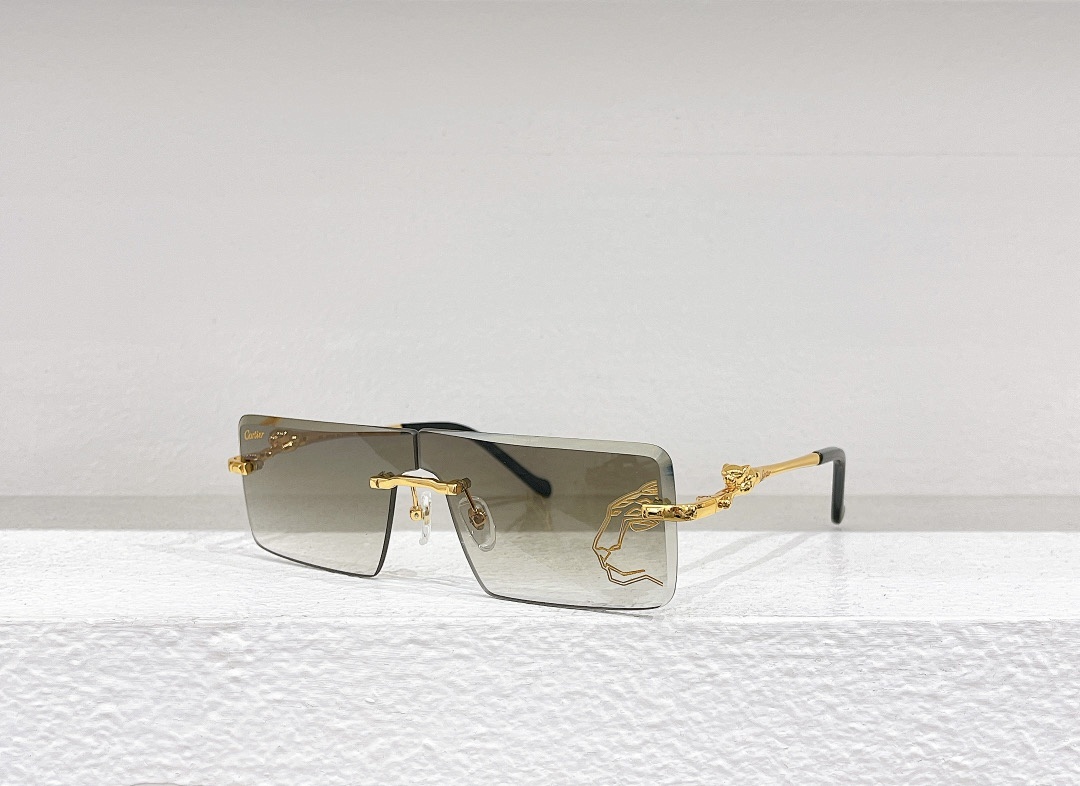 Other CartierMODEL:CT0281SSIZE 58, photo 1