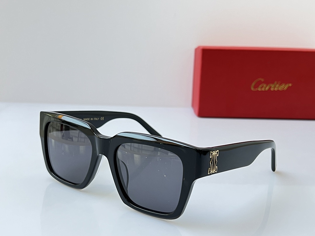 Other CartierMODEL:CT0487SSIZE 52 22-140_, photo 1