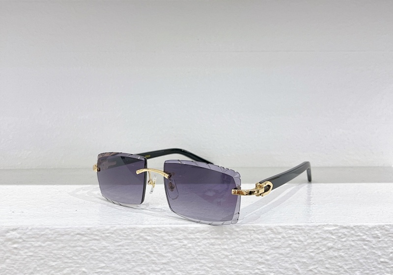 Other CartierMODEL:CT0243 SIZE:55 18-140_370, photo 1