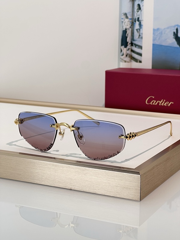 CartierMod:CT0681OSize:54, photo 1