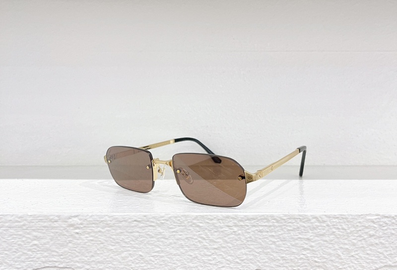CartierMODEL:CT0460SSIZE:54 21-140_225, photo 1