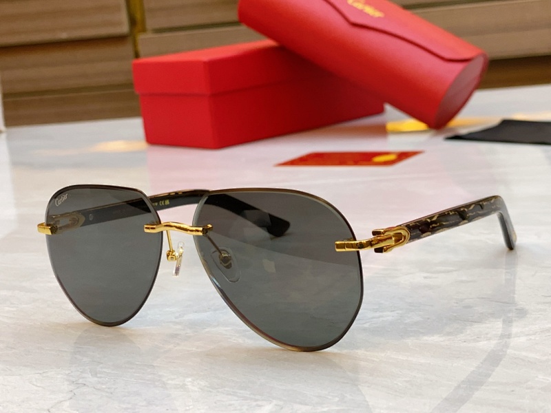 CartierMODEL:CT0440S,SIZE 61, photo 1