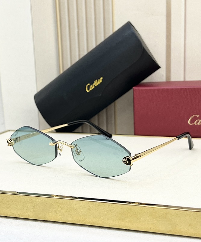 Other CartierMODEL:CT0433SSIZE:55 20-140_, photo 1