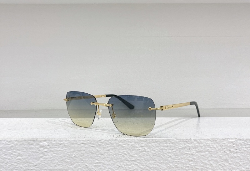 CartierMODEL:CT0569SSIZE:57, photo 1