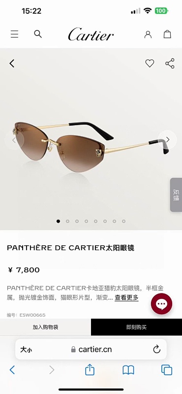 CartielrMODEL:CT0431S SIZE:56, photo 1