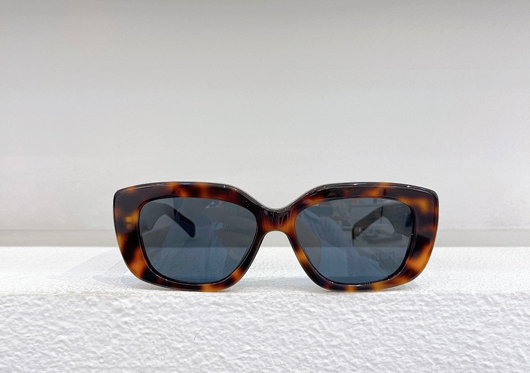 Other CELINEMODELCL40216USIZE55