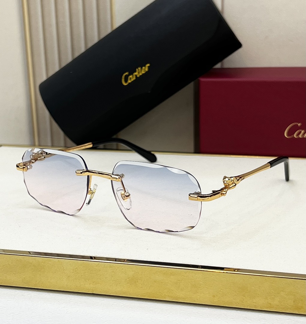 CartierMODEL:CT0281OSIZE:55, photo 1