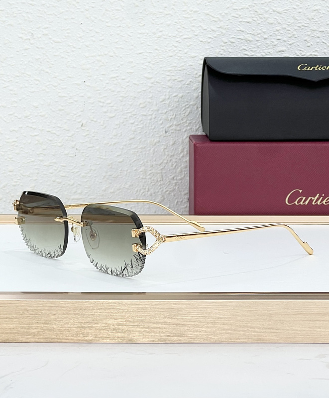 Other CartierMODEL:CT0798SSIZE, photo 1