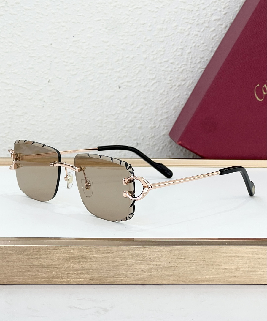 CartierMODEL:CT0829S SIZE57, photo 1