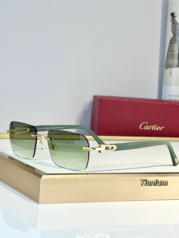 CartierMOD:CT0453OSize:56 19-1, photo 1